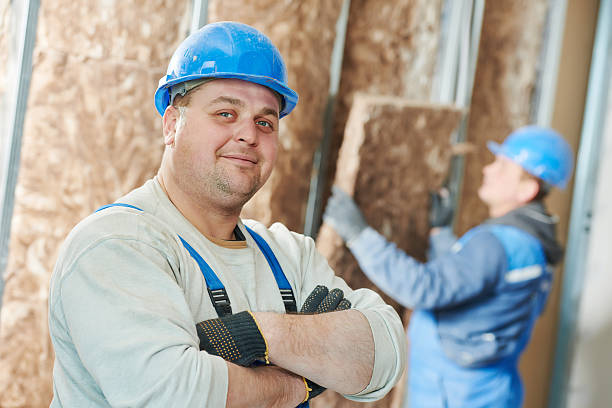 Best Basement Insulation  in Congress, AZ